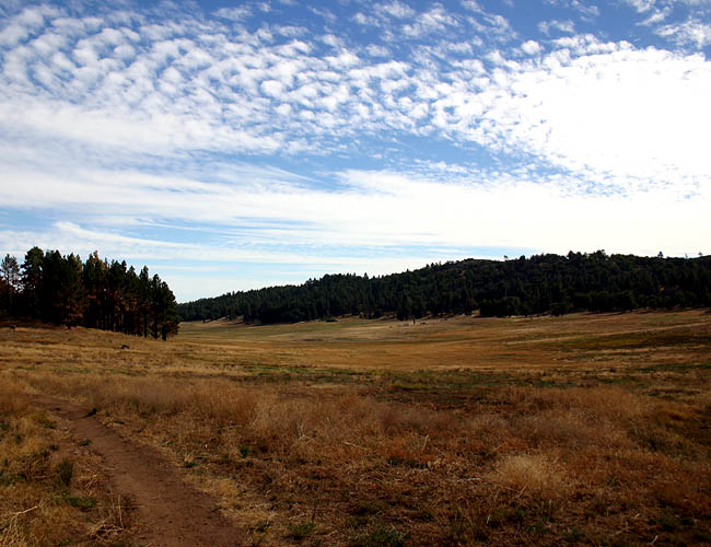 <b>Cleveland National Park</b><br>Cleveland National Park is only an hour drive from San Diego. San Diego has a desert climate and while we do have a lot of trees here, they are mostly pine or eucalyptus. We do have a tree called the Torrey Pine but you just don't see rows and rows of non-tropical-looking trees in this climate. Yes, Cleveland National Park looks like it could be in the NorthEast with its beautiful and thick trees. On September 5th, Jake and I drove to the park to spend his birthday hiking a route known as one of the top best mountain biking spots in California. As you can see, it was a perfect day with a magnificent sky.