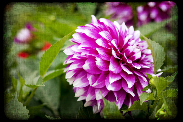 020112