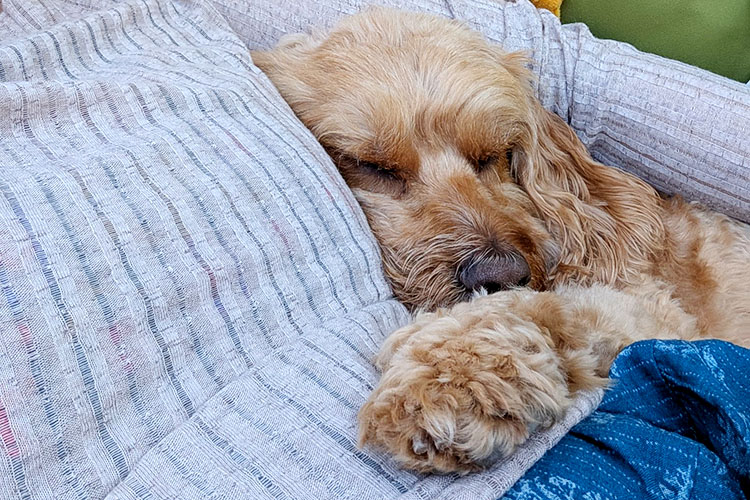 2026 – Onward – April 20