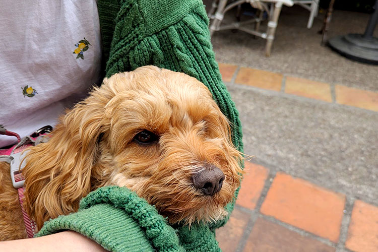 2026 – Onward – April Review