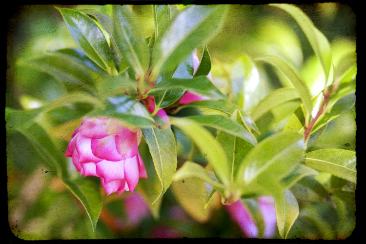 040810