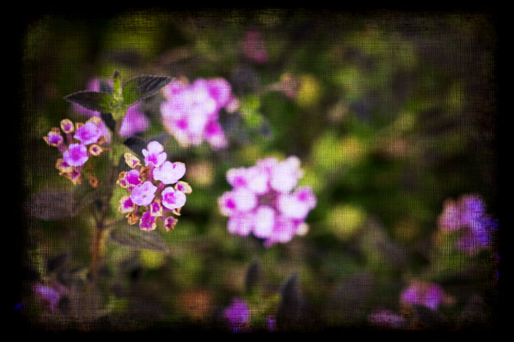 040810