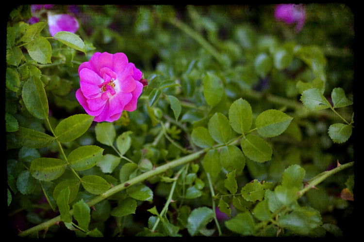 040810