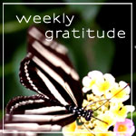 gratitude_side_banner